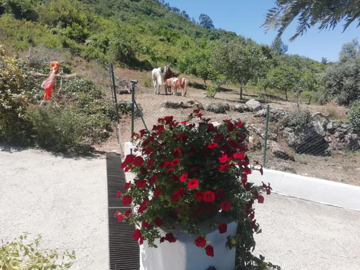 Casinha Da Lareira - Quintinha Dos Cavalos- Arruda Dos Vinhos Exterior photo