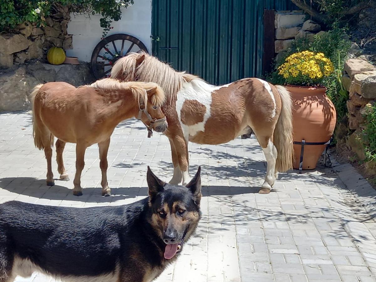 Casinha Da Lareira - Quintinha Dos Cavalos- Arruda Dos Vinhos Exterior photo