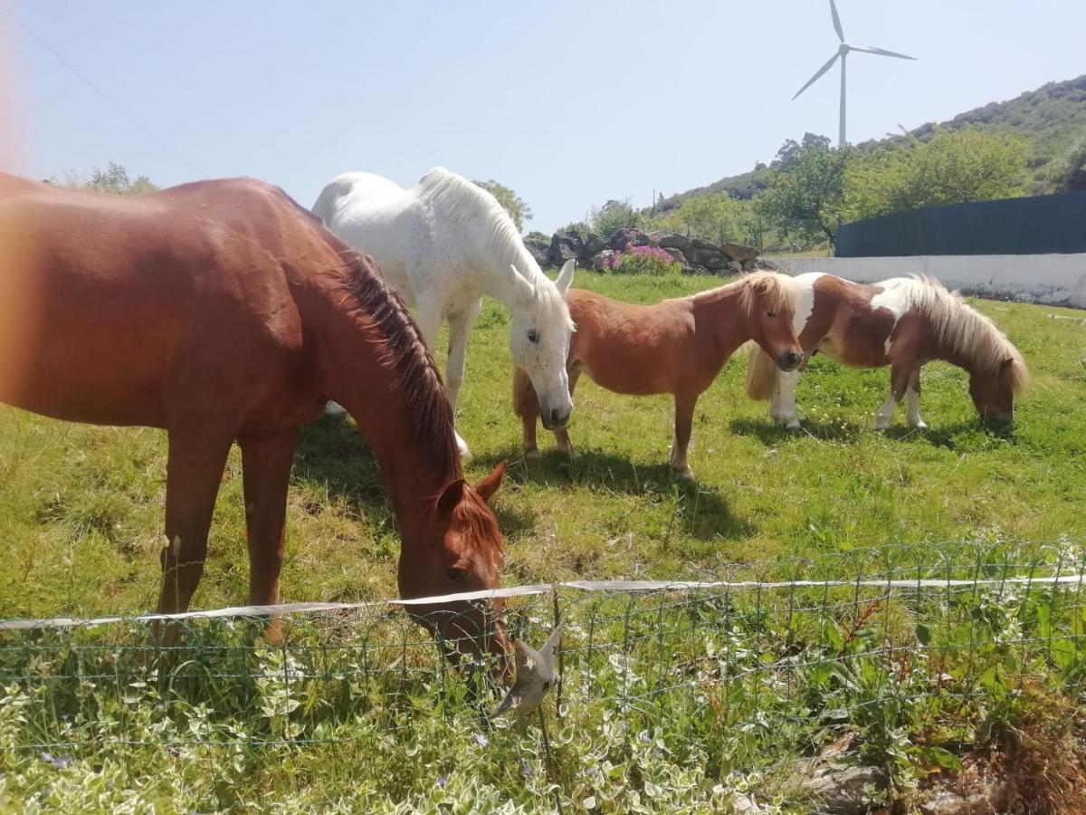 Casinha Da Lareira - Quintinha Dos Cavalos- Arruda Dos Vinhos Exterior photo